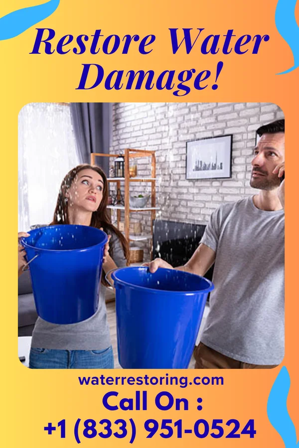 water restoration Coastal Disaster Cleanup Solutions Waverly