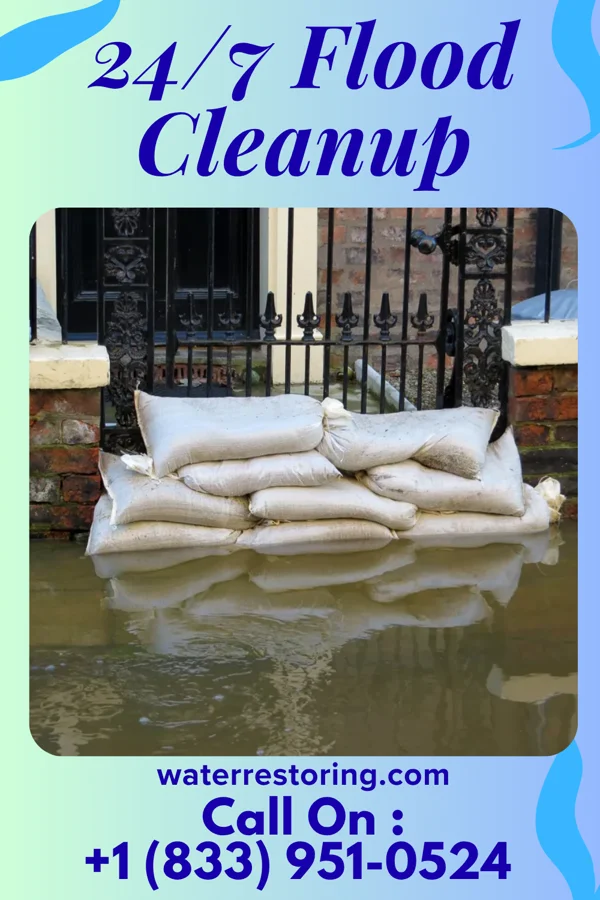 24/7 Flood Cleanup in Waverly, KY