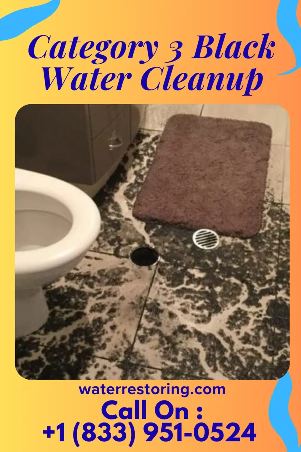 Category 3 Black Water Cleanup in Waverly, KY