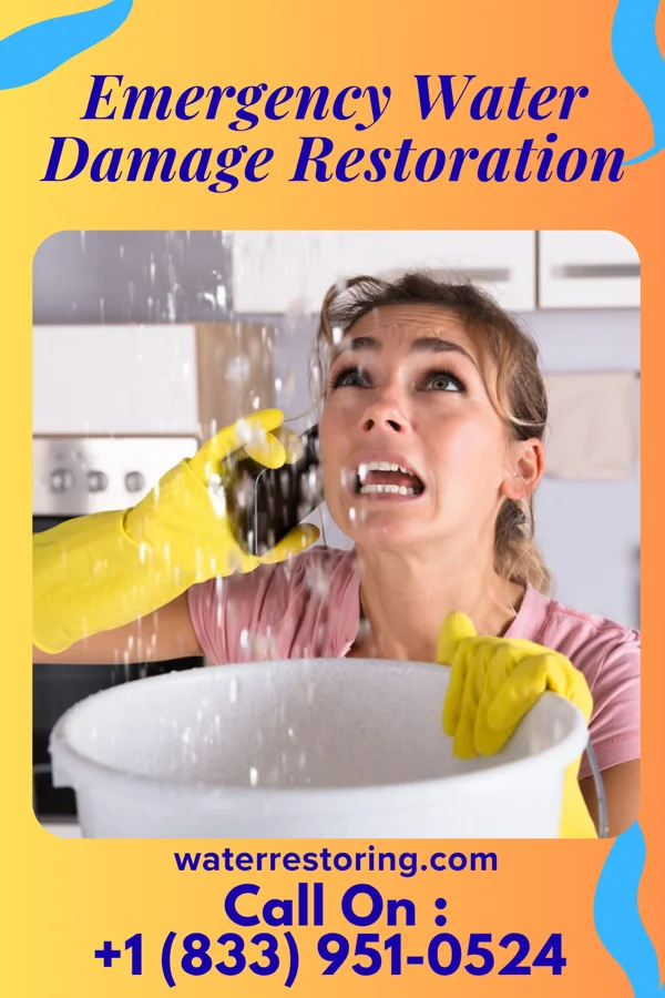 Emergency Water Damage Restoration in Waverly, KY