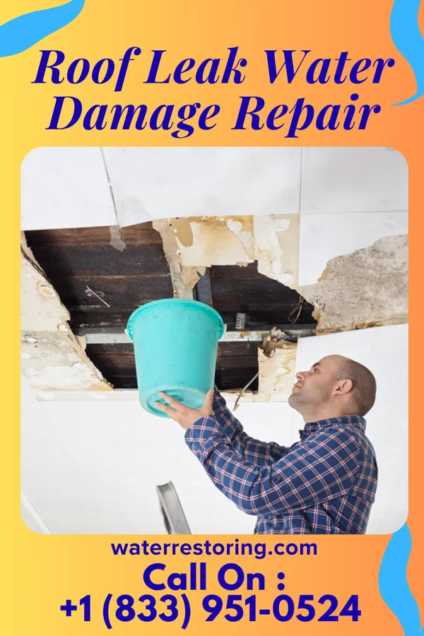 Roof Leak Water Damage Repair in Waverly, KY