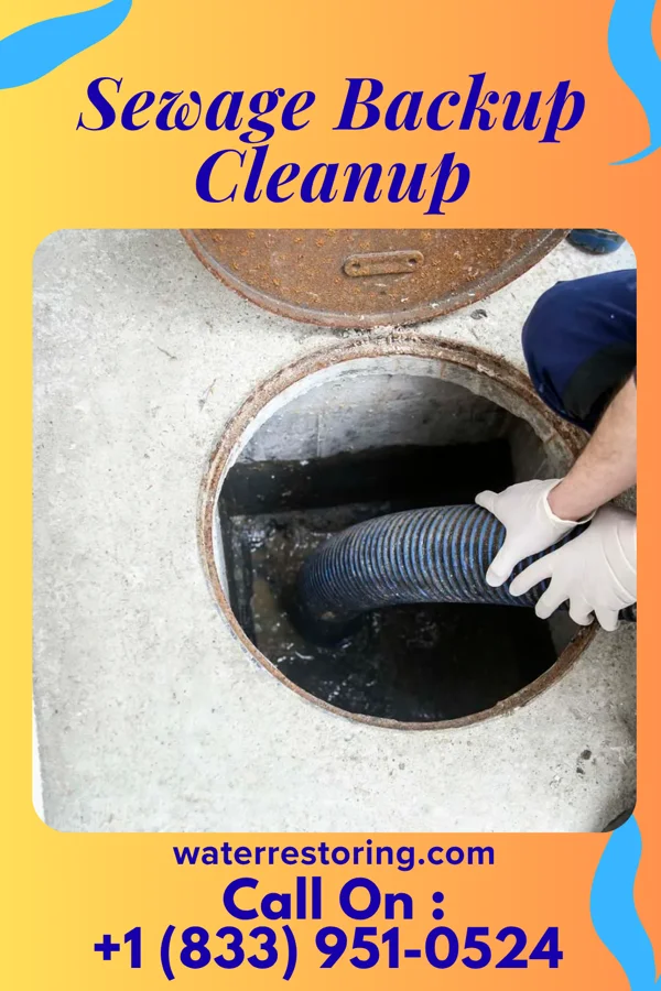 Sewage Backup Cleanup in Waverly, KY