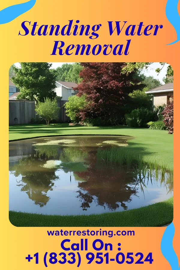 Standing Water Removal in Waverly, KY